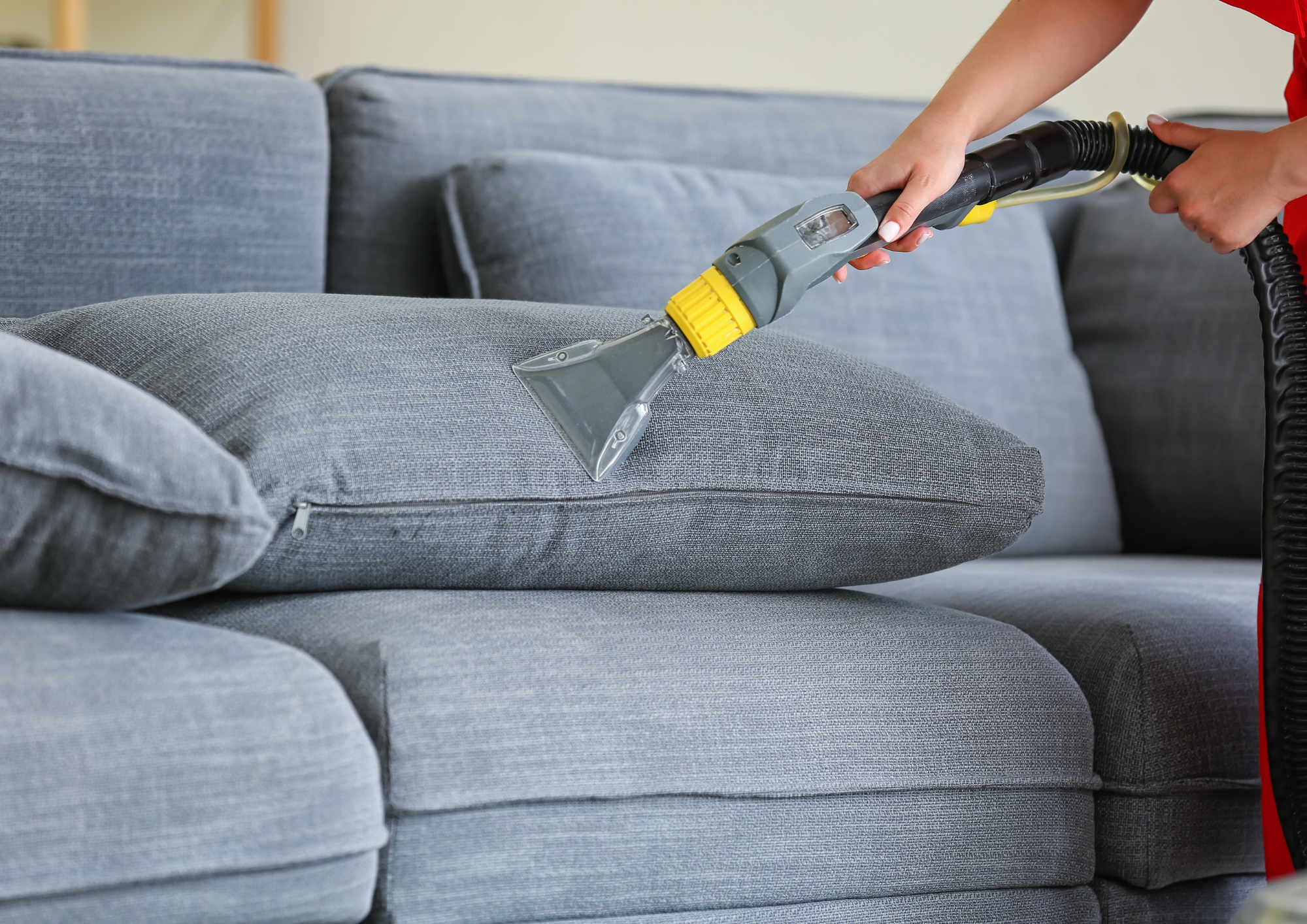 Sofa cleaning service